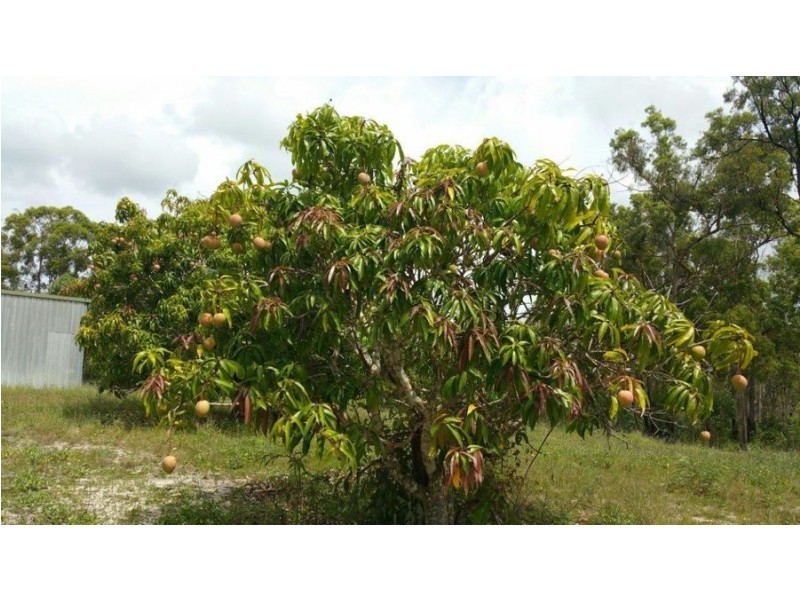 539 Mineral Road, Rosedale QLD 4674