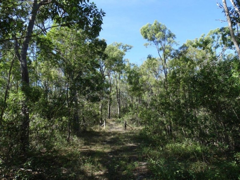 539 Mineral Road, Rosedale QLD 4674