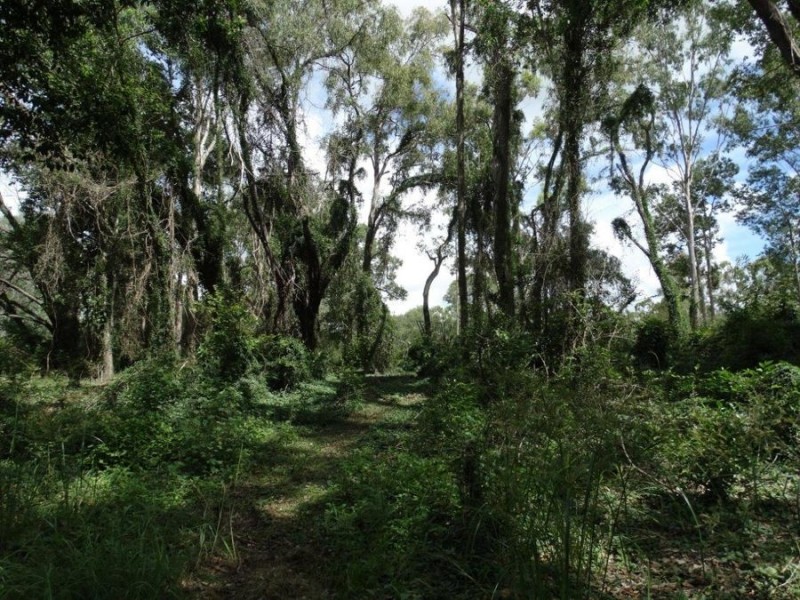 Lot 2 Walkers Crossing road, Mount Maria QLD 4674