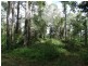 Lot 2 Walkers Crossing road, Mount Maria QLD 4674