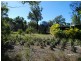 Lot 11 Maude Hill Road, Deepwater QLD 4674
