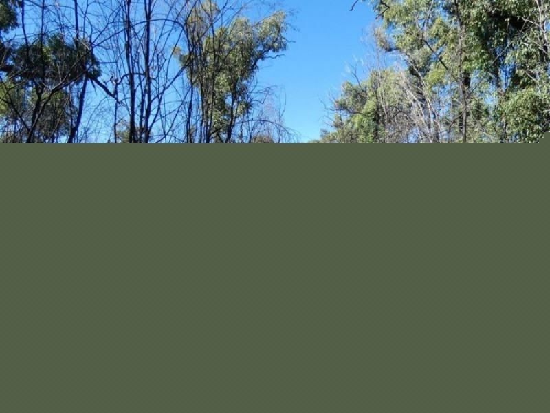 Lot 11 Maude Hill Road, Deepwater QLD 4674