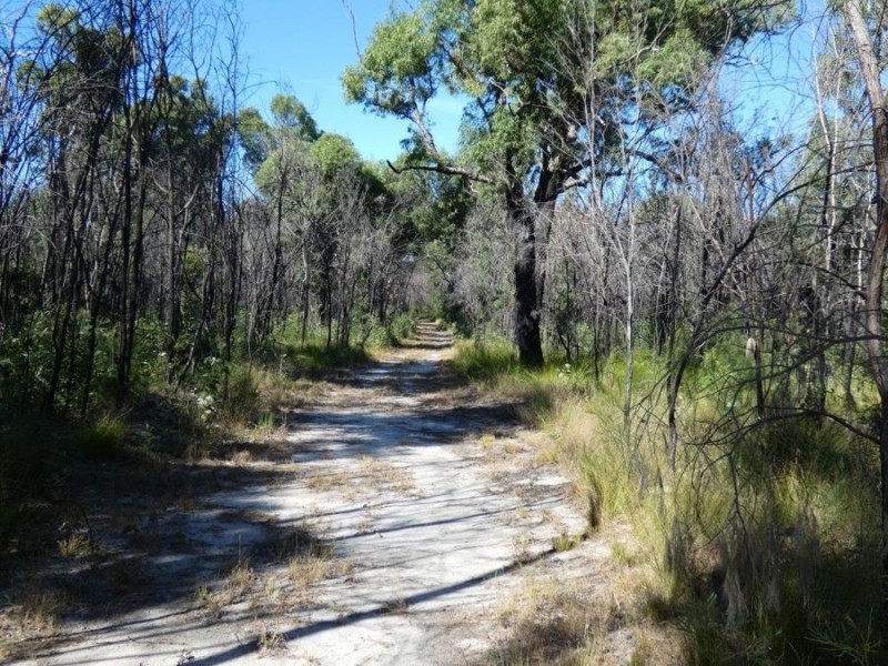 Lot 11 Maude Hill Road, Deepwater QLD 4674