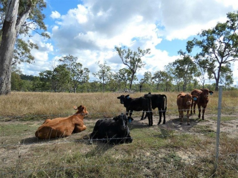 348 Mount Bucca Road, Abbotsford QLD 4670