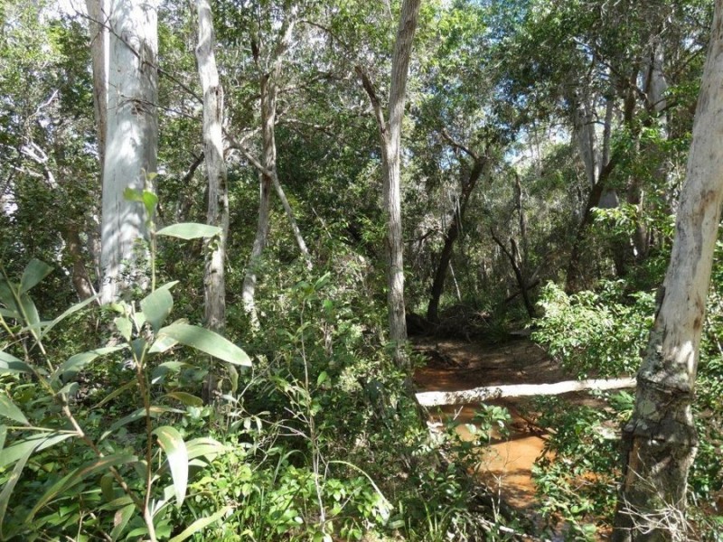 348 Mount Bucca Road, Abbotsford QLD 4670