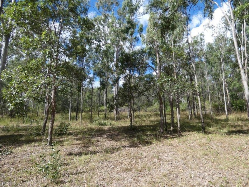 348 Mount Bucca Road, Abbotsford QLD 4670