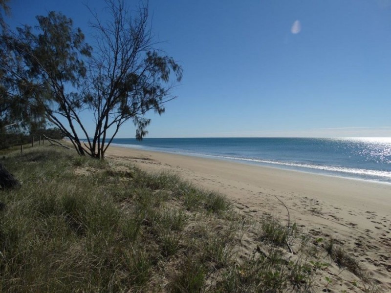 24 James Street, Rosedale QLD 4674