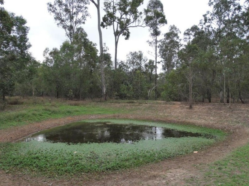 477 Neils Road, Rosedale QLD 4674