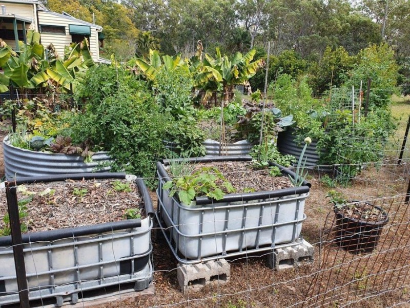 266 Muller Road, Baffle Creek QLD 4674