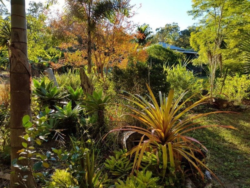 266 Muller Road, Baffle Creek QLD 4674