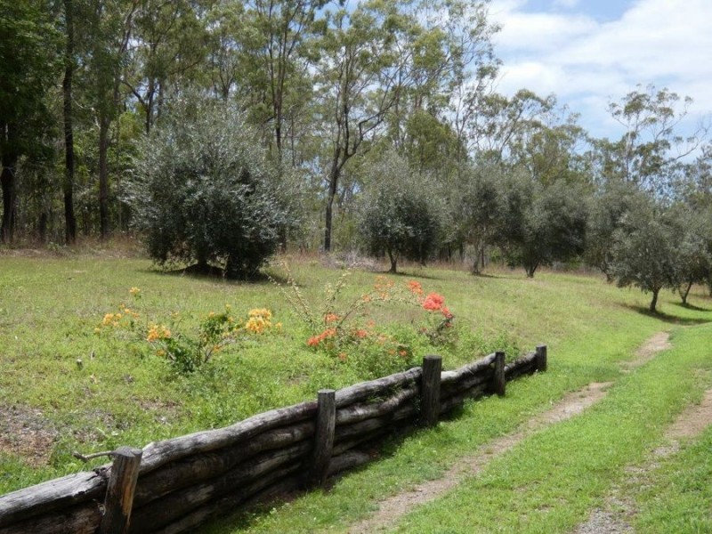 173 Coast Road, Baffle Creek QLD 4674