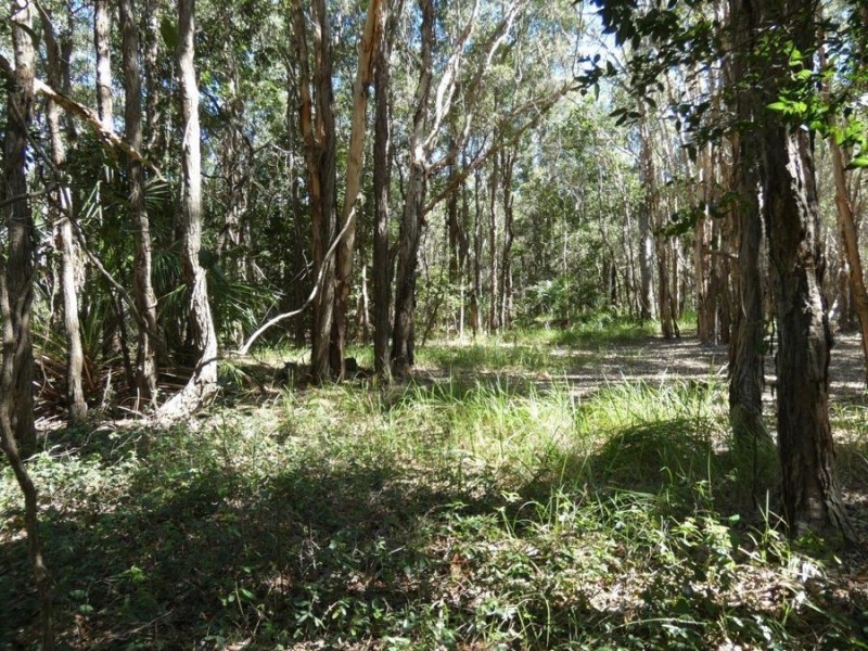 Lot 29 Coast Road, Baffle Creek QLD 4674