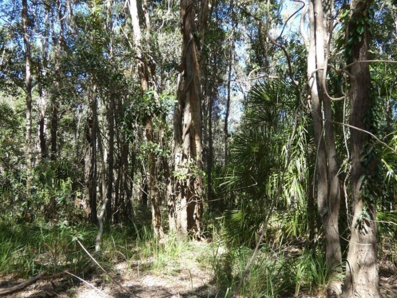 Lot 29 Coast Road, Baffle Creek QLD 4674