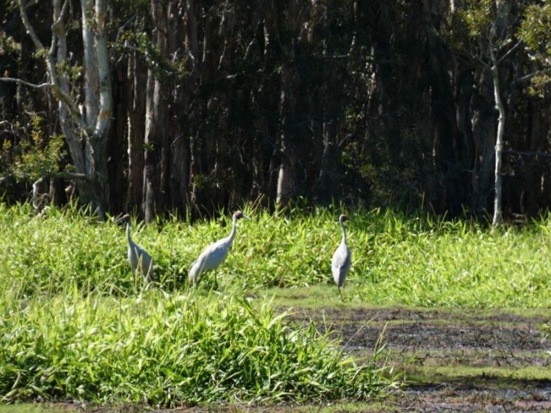 Lot 29 Coast Road, Baffle Creek QLD 4674