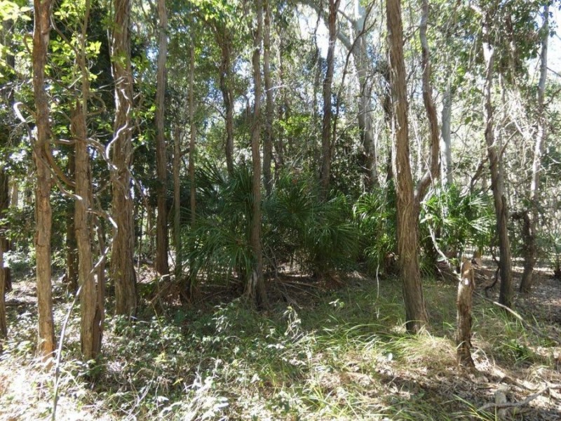 Lot 29 Coast Road, Baffle Creek QLD 4674