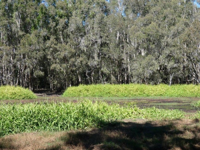 Lot 29 Coast Road, Baffle Creek QLD 4674