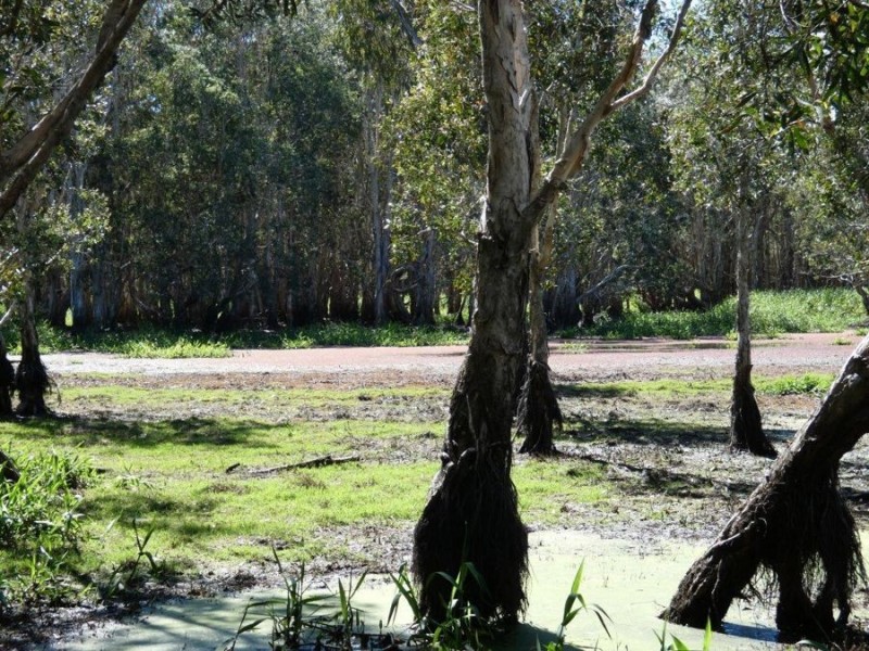 Lot 29 Coast Road, Baffle Creek QLD 4674