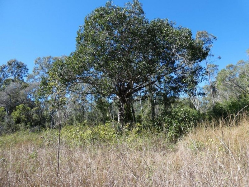 Lot 29 Coast Road, Baffle Creek QLD 4674