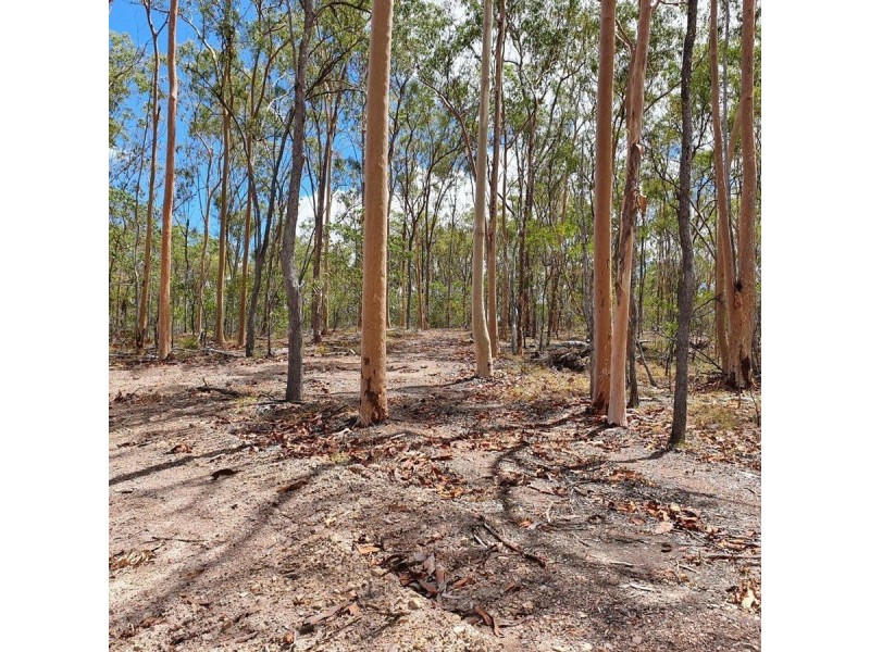 113 Cross Road, Euleilah QLD 4674