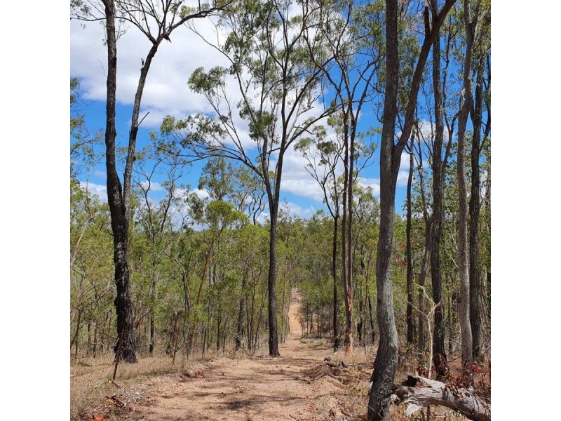 113 Cross Road, Euleilah QLD 4674