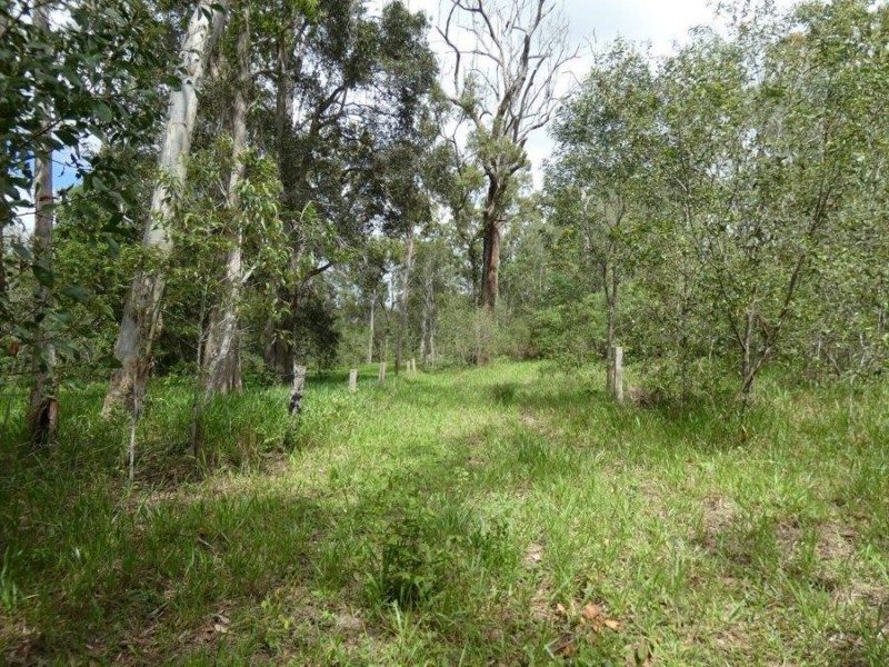 Lot 41 Old Toweran Road, Berajondo QLD 4674