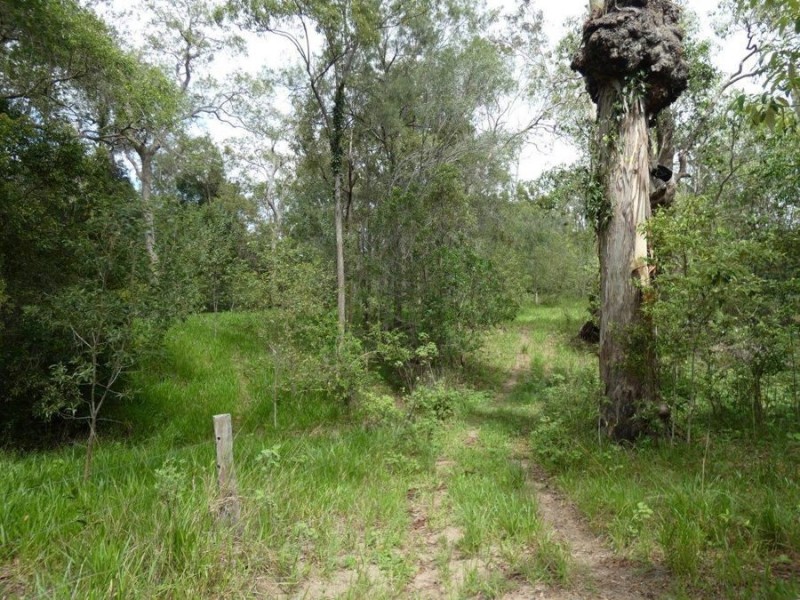 Lot 41 Old Toweran Road, Berajondo QLD 4674