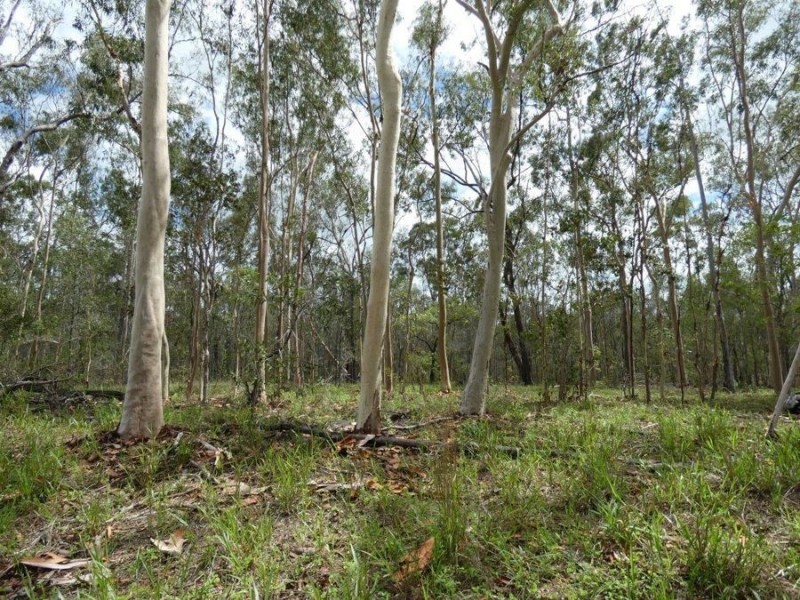 Lot 41 Old Toweran Road, Berajondo QLD 4674