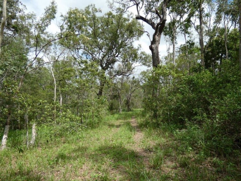 Lot 41 Old Toweran Road, Berajondo QLD 4674