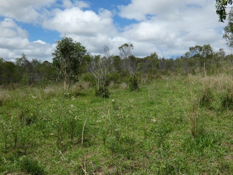 Lot 41 Old Toweran Road, Berajondo QLD 4674
