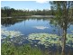 Lot 41 Old Toweran Road, Berajondo QLD 4674