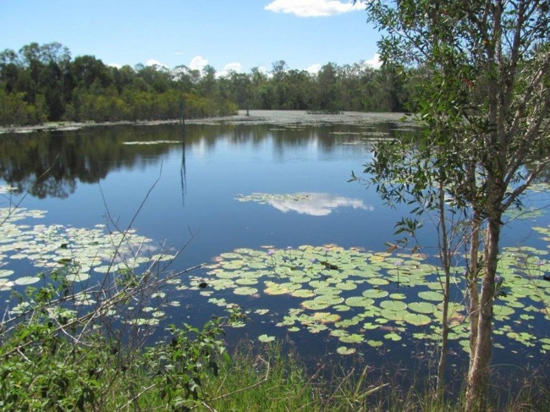 Lot 41 Old Toweran Road, Berajondo QLD 4674