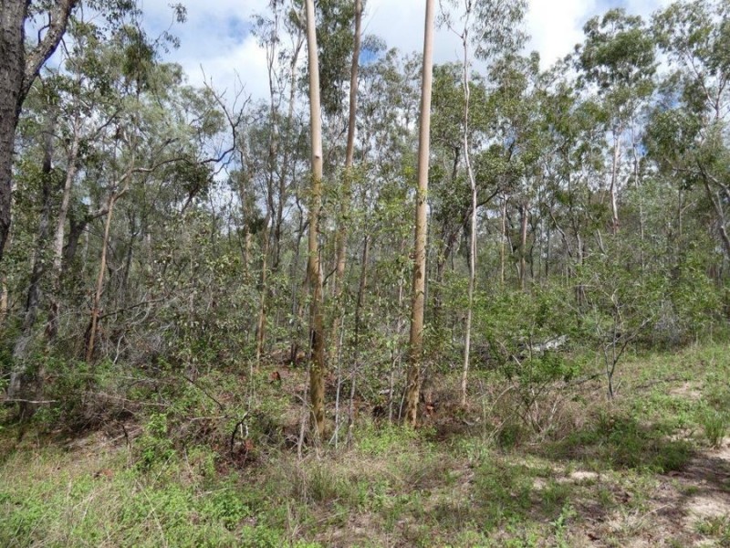 Lot 41 Old Toweran Road, Berajondo QLD 4674
