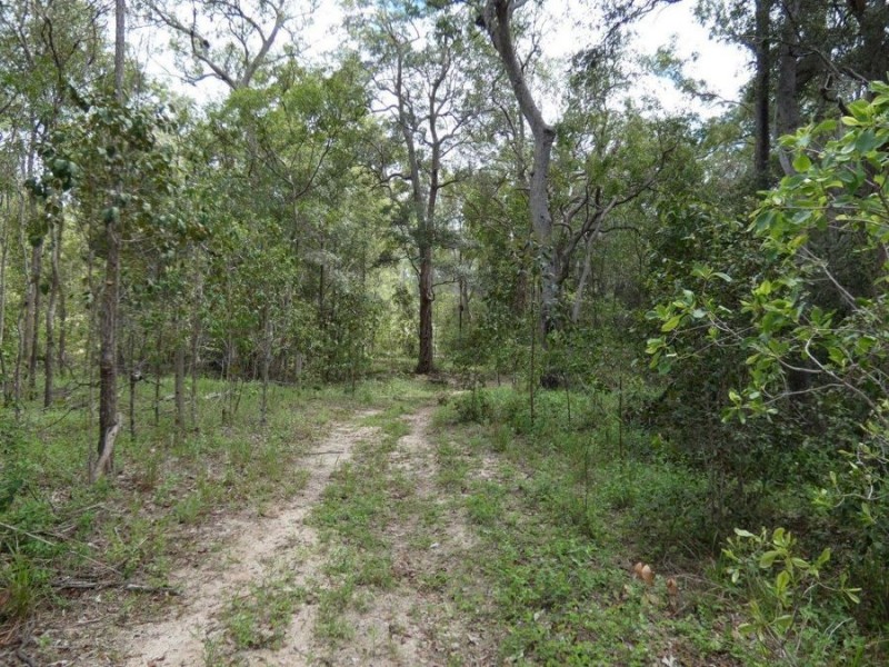 Lot 41 Old Toweran Road, Berajondo QLD 4674