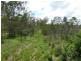 Lot 41 Old Toweran Road, Berajondo QLD 4674