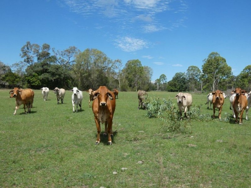 Euleilah QLD 4674