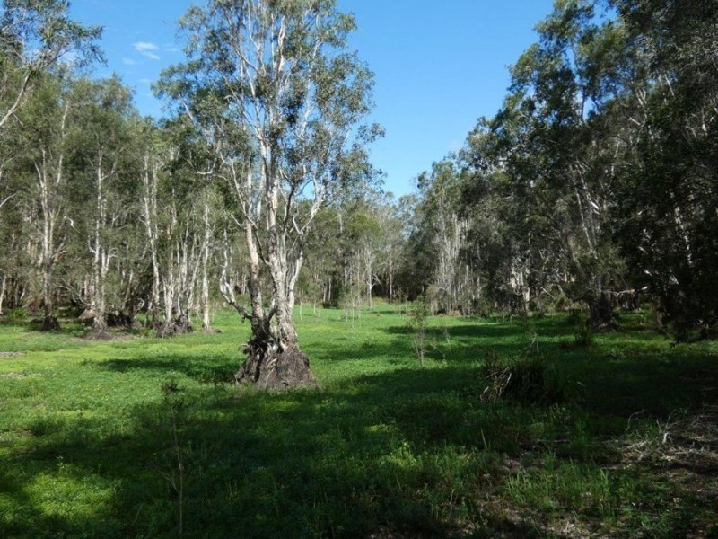 Euleilah QLD 4674