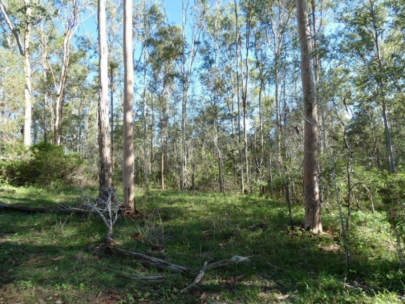 Lot 33 Dawsons Road, Berajondo QLD 4674