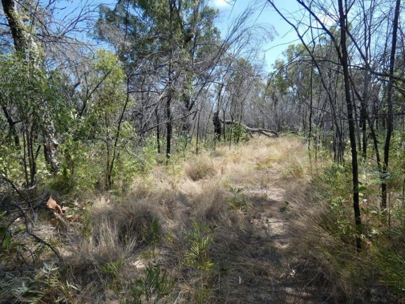 641 Capricornia Drive, Deepwater QLD 4674