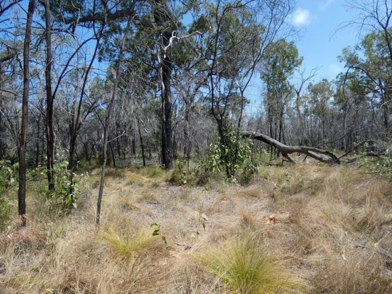 641 Capricornia Drive, Deepwater QLD 4674