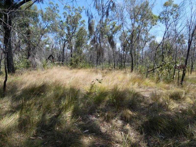 641 Capricornia Drive, Deepwater QLD 4674