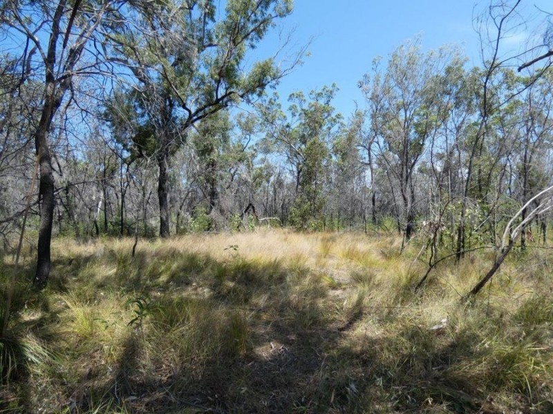 641 Capricornia Drive, Deepwater QLD 4674