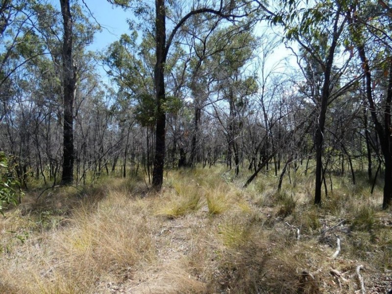 641 Capricornia Drive, Deepwater QLD 4674