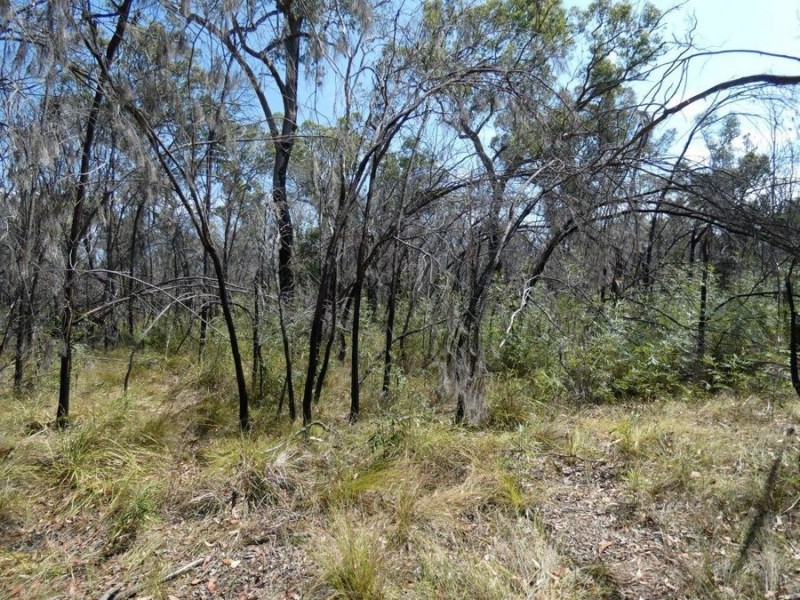 641 Capricornia Drive, Deepwater QLD 4674