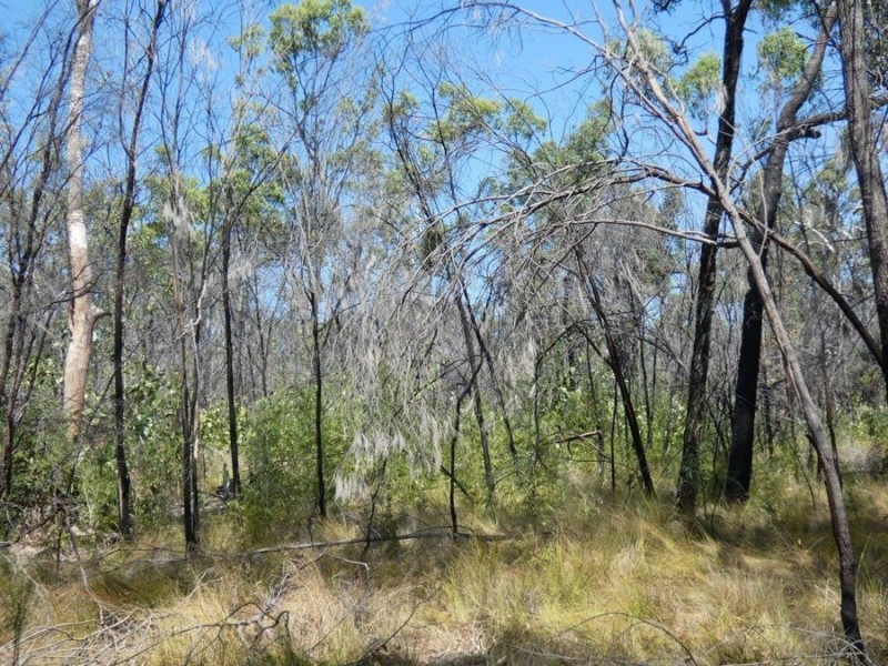 641 Capricornia Drive, Deepwater QLD 4674