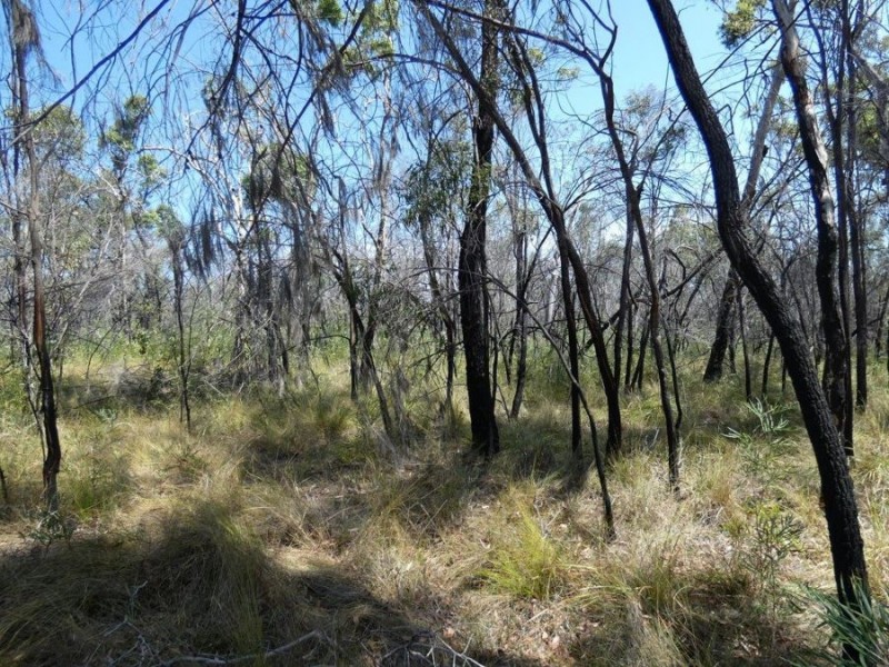 641 Capricornia Drive, Deepwater QLD 4674