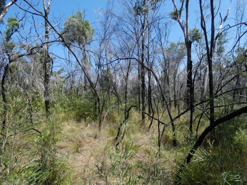 641 Capricornia Drive, Deepwater QLD 4674