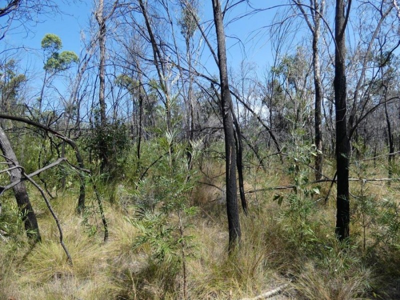 641 Capricornia Drive, Deepwater QLD 4674