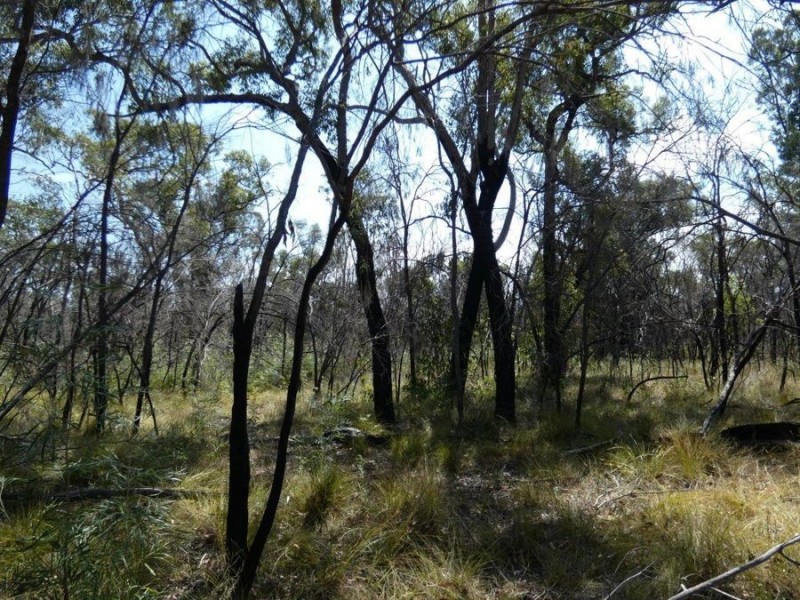 641 Capricornia Drive, Deepwater QLD 4674