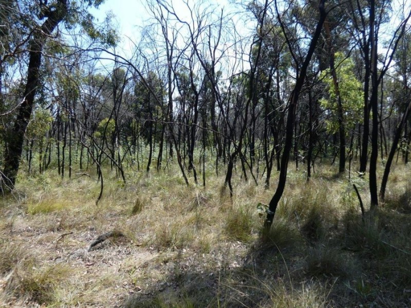 641 Capricornia Drive, Deepwater QLD 4674