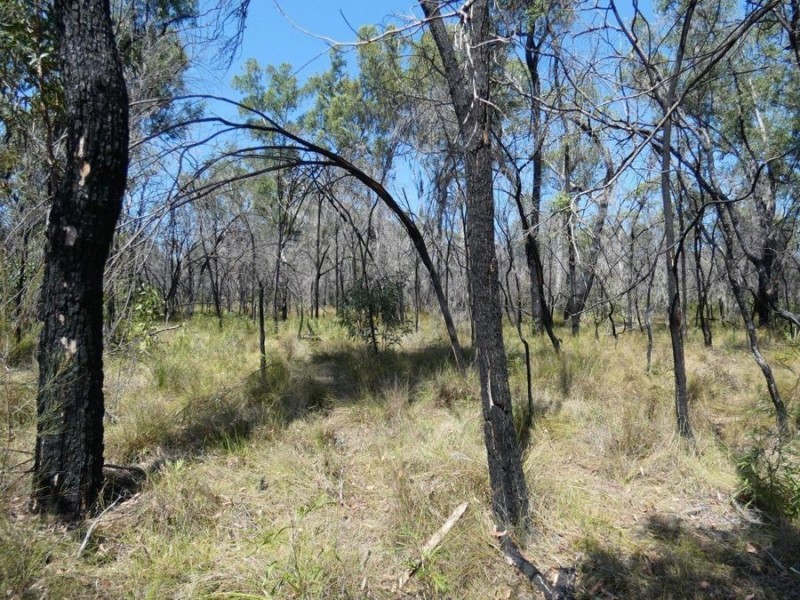 641 Capricornia Drive, Deepwater QLD 4674